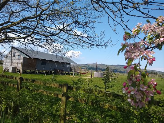 spring on the farm glamping